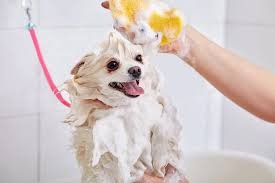 Dog Herbal Smell Spray